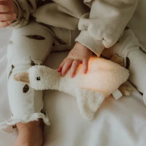 Flow Amsterdam | Nachtlampje Liva