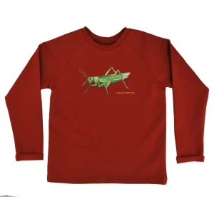 Roodbruine kindersweater met sprinkhaan