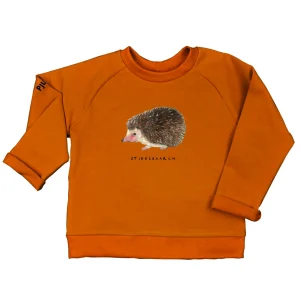 Zacht sweatertje met egeltje